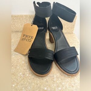 Frye Sandal Women 7 Zaki Ankle Strap Black Block Heel Shoe